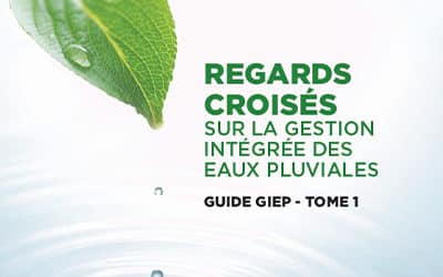 Guide GIEP | Tome 1